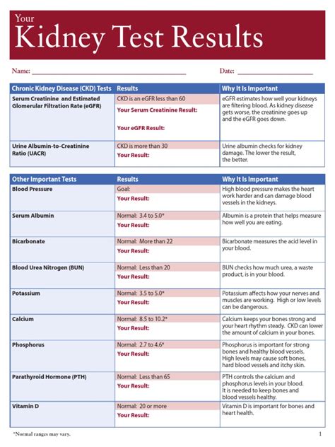 kidney blood test results borderline|Explaining Your Kidney Test Results: A Tool for .